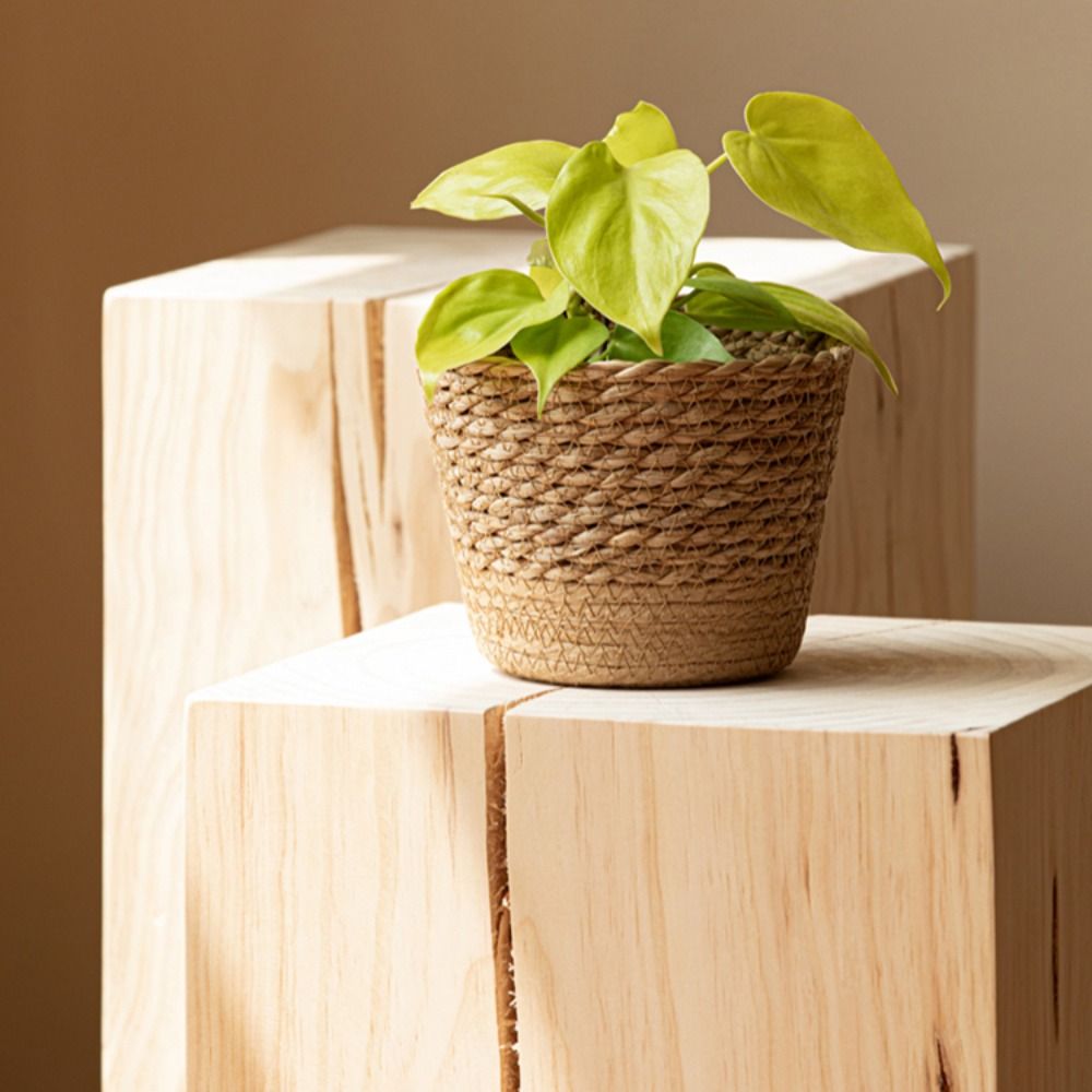 Straw Weaving Flower Plant Pot - Aloe Vera Pot 리뷰 및 가격