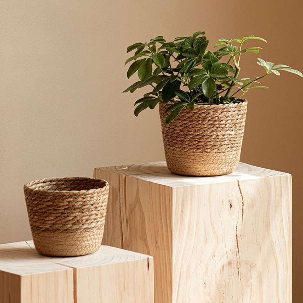 Straw Weaving Flower Plant Pot - Aloe Vera Pot 리뷰 및 가격
