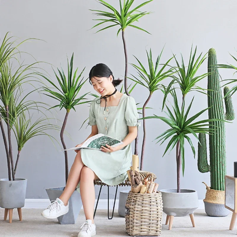 Simulation Plant Dracaena Marg - Dracaena Marginata 리뷰 및 가격