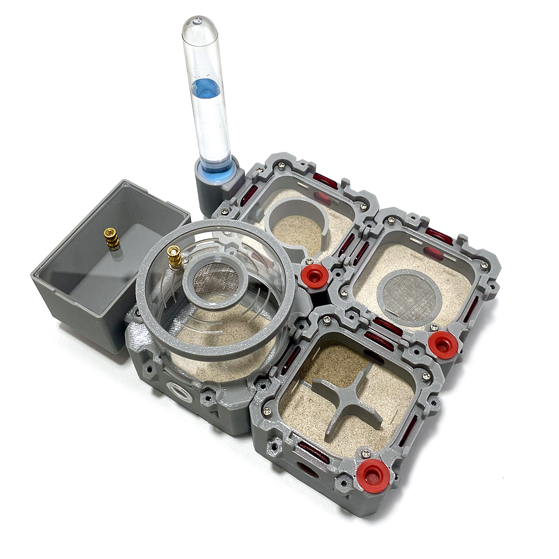 【Lego】Expandale Modular Formic - Begonia Rex 리뷰 및 가격