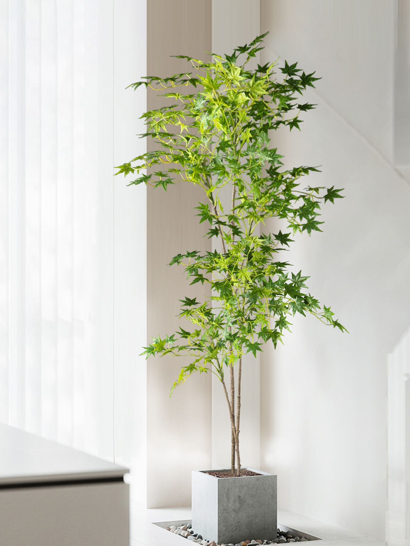 70-140cm Artificial Maple Tree - Dracaena Marginata 리뷰 및 가격