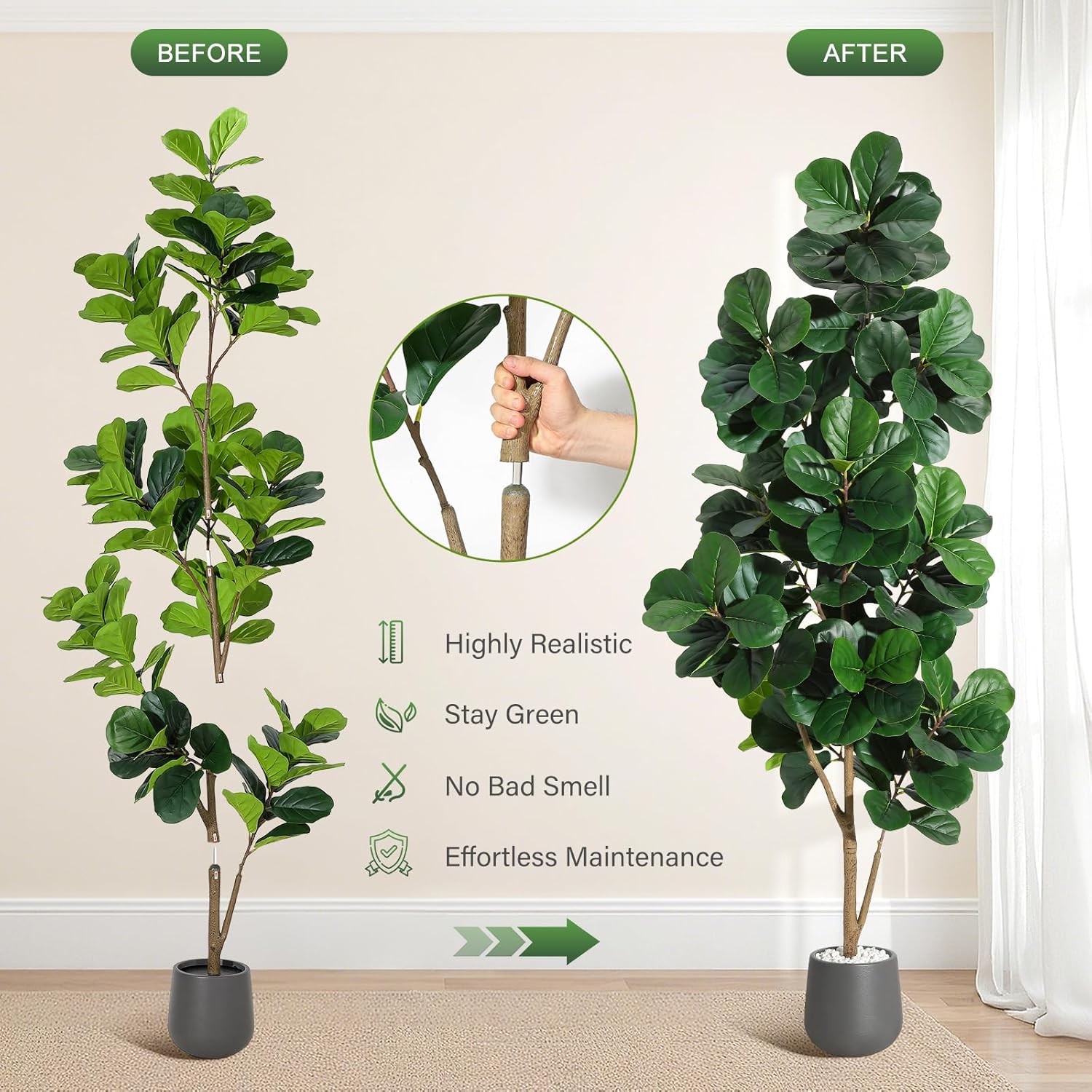 4FT/5FT/6FT/7FT Fiddle Leaf Fi - Ficus Lyrata Tree 리뷰 및 가격