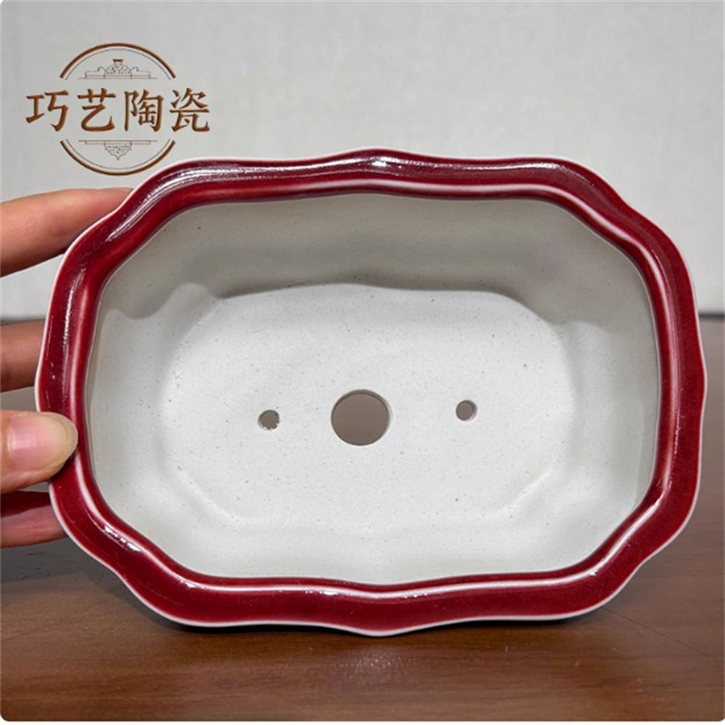 Porcelain Glazed Colorful Bons - Pilea Peperomioides 리뷰 및 가격