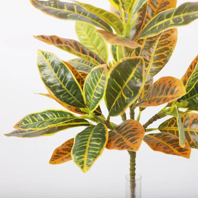 Plastic Artificial Color-chang - Dracaena Marginata 리뷰 및 가격