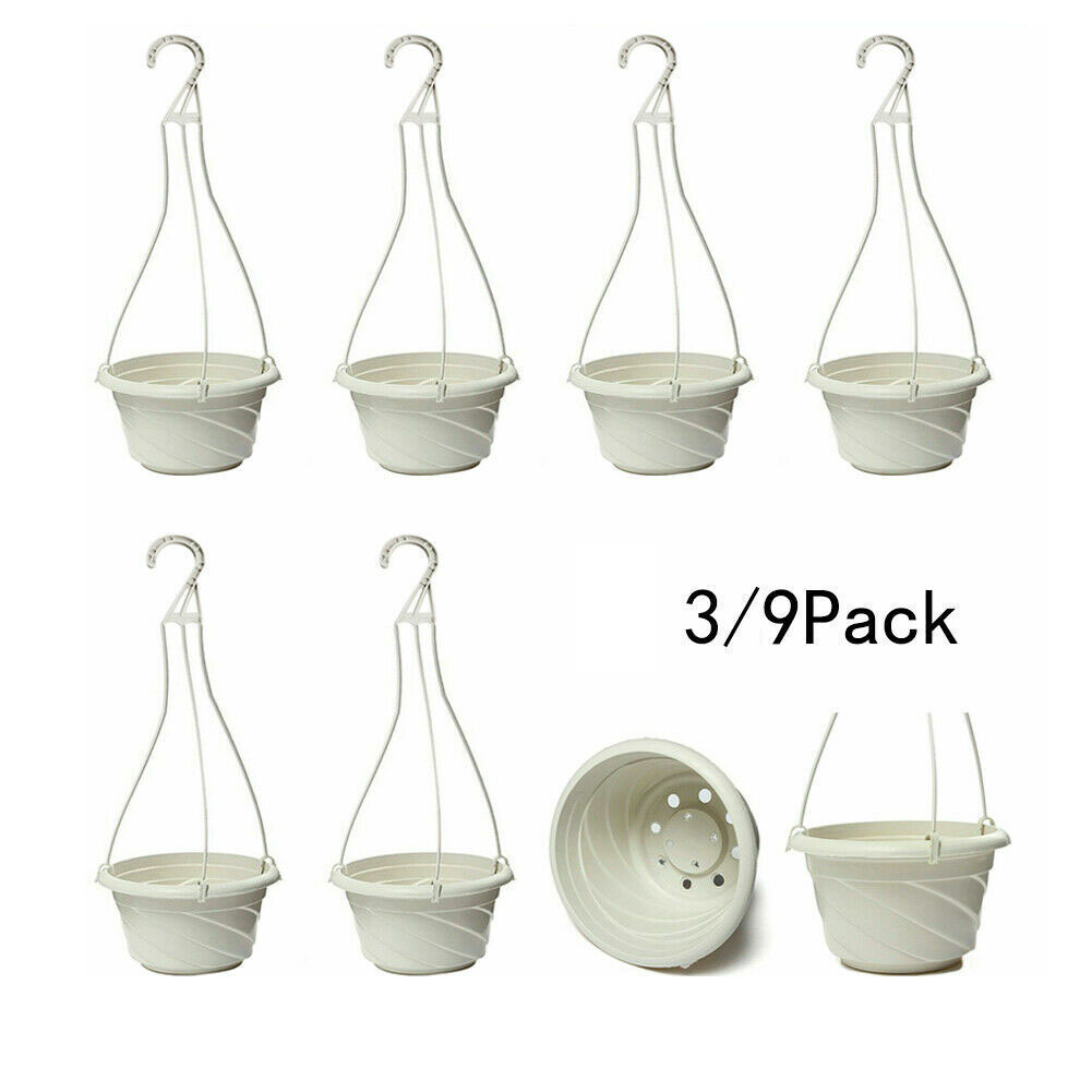 Trickle Airflow Design Hanging - Spider Plant Hanging 리뷰 및 가격