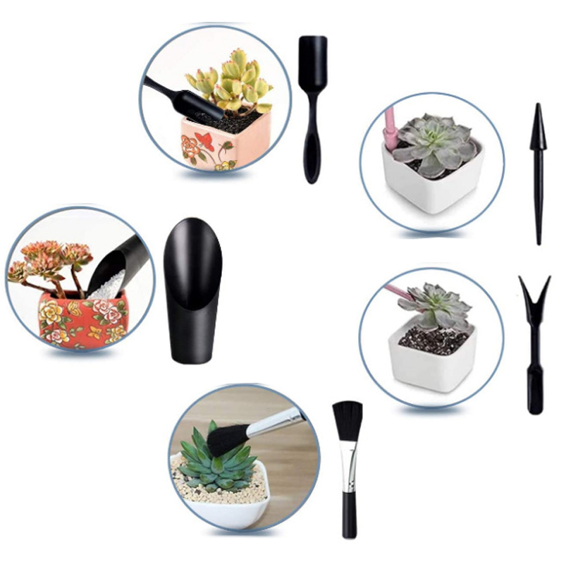 Mini Gardening Tool Set Label  - Echeveria Succulent 리뷰 및 가격