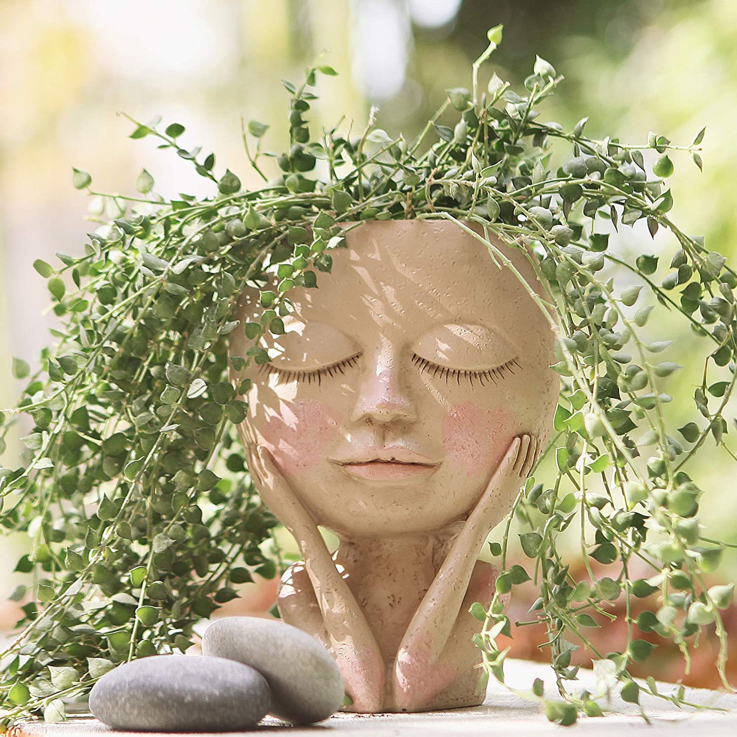 Girls Face Head Flower Planter - Echeveria Succulent 리뷰 및 가격