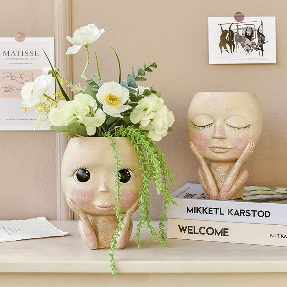 Girls Face Head Flower Planter - Echeveria Succulent 리뷰 및 가격