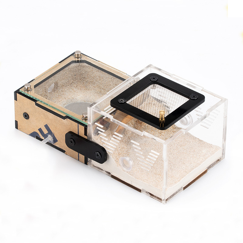 Unlimited Expansion Ant Farm H - Begonia Rex 리뷰 및 가격