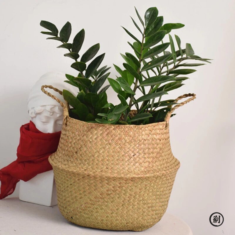 Wicker Basket Toy Organizer Fo - Aloe Vera Pot 리뷰 및 가격