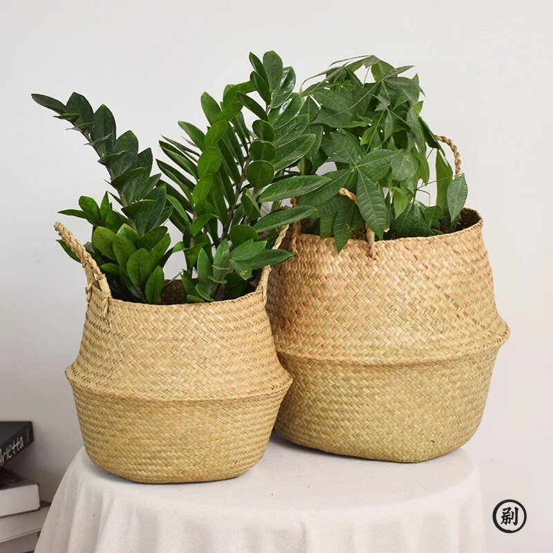 Wicker Basket Toy Organizer Fo - Aloe Vera Pot 리뷰 및 가격