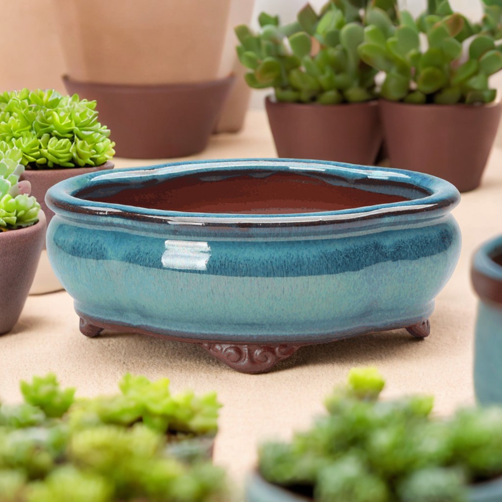 Ceramic Succulent Flower Pot C - Pilea Peperomioides 리뷰 및 가격